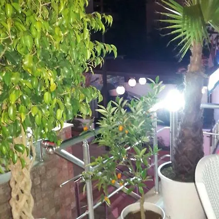Hotel Ozzy Gumbet